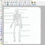 Software de Desenho TactileView HumanWare