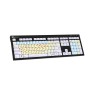 Teclado Dislexia NERO PC USB Logickeyboard