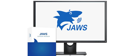 Jaws para Windows 2024 USB DONGLE