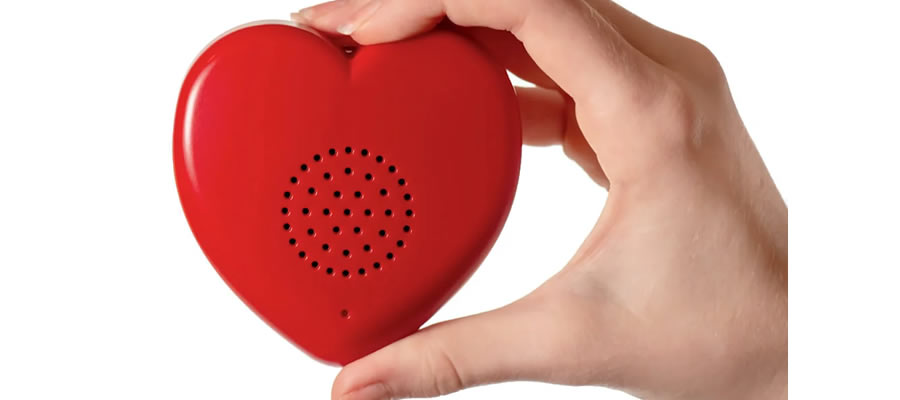 Digitalizador Talking Heart Voice Recorder Talking Products